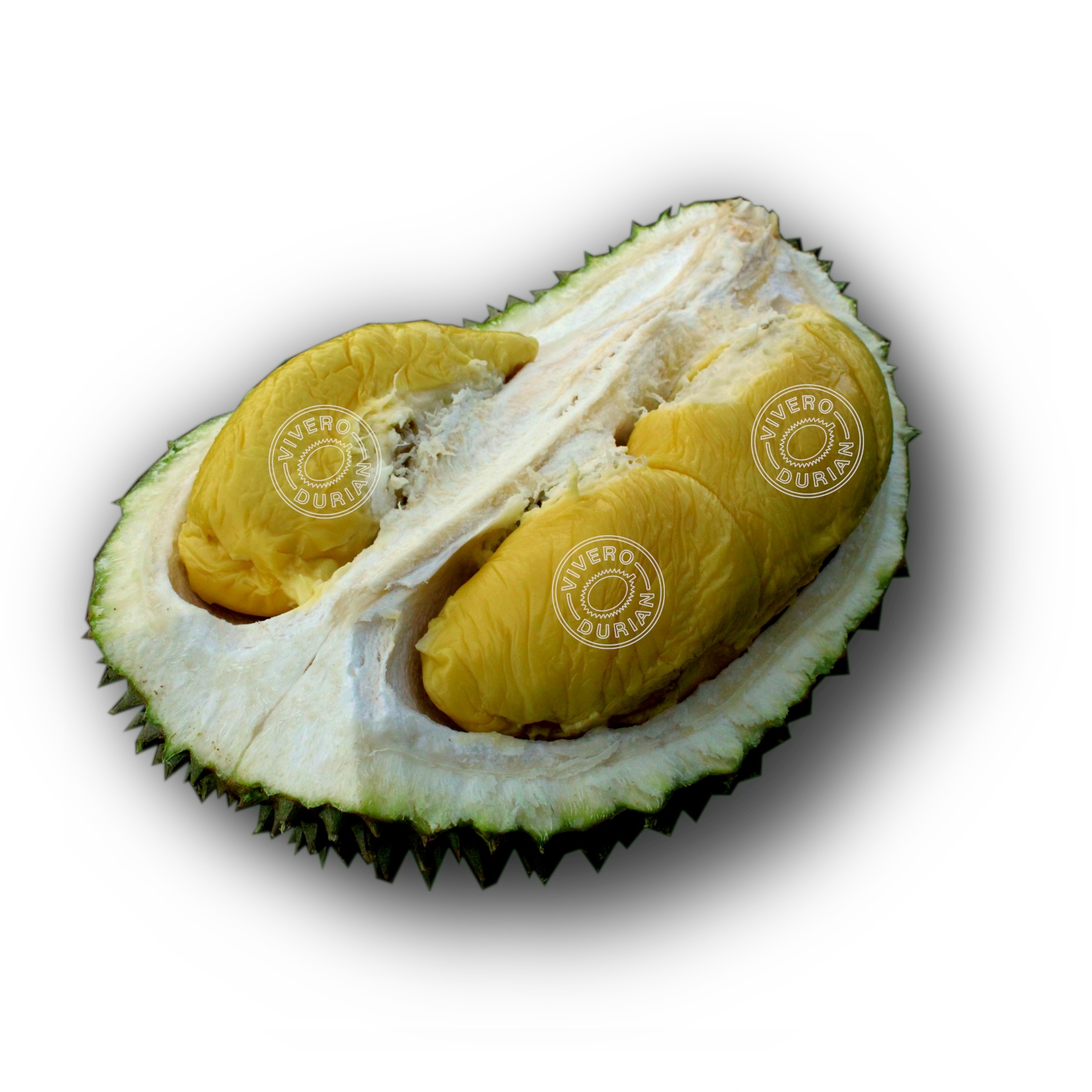 Musang King, D197